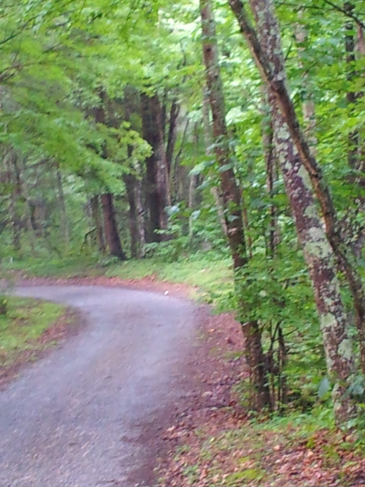 74369-wataugafairhavendrive018