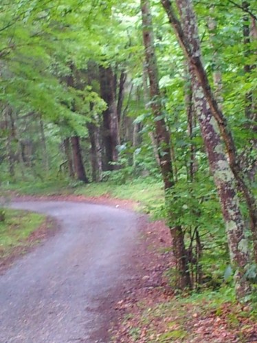 74369-wataugafairhavendrive018