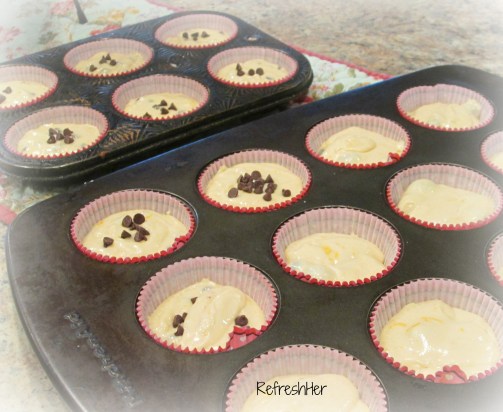 stock, Freezer muffin batter 008