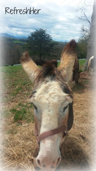 20150410_135418_resized