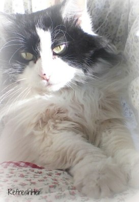 20150413_090151-1_resized