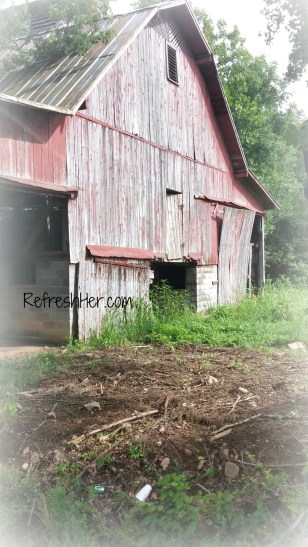 20150704_170359_resized