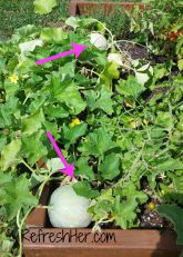 wpid-wp-1437508732852 - Copy