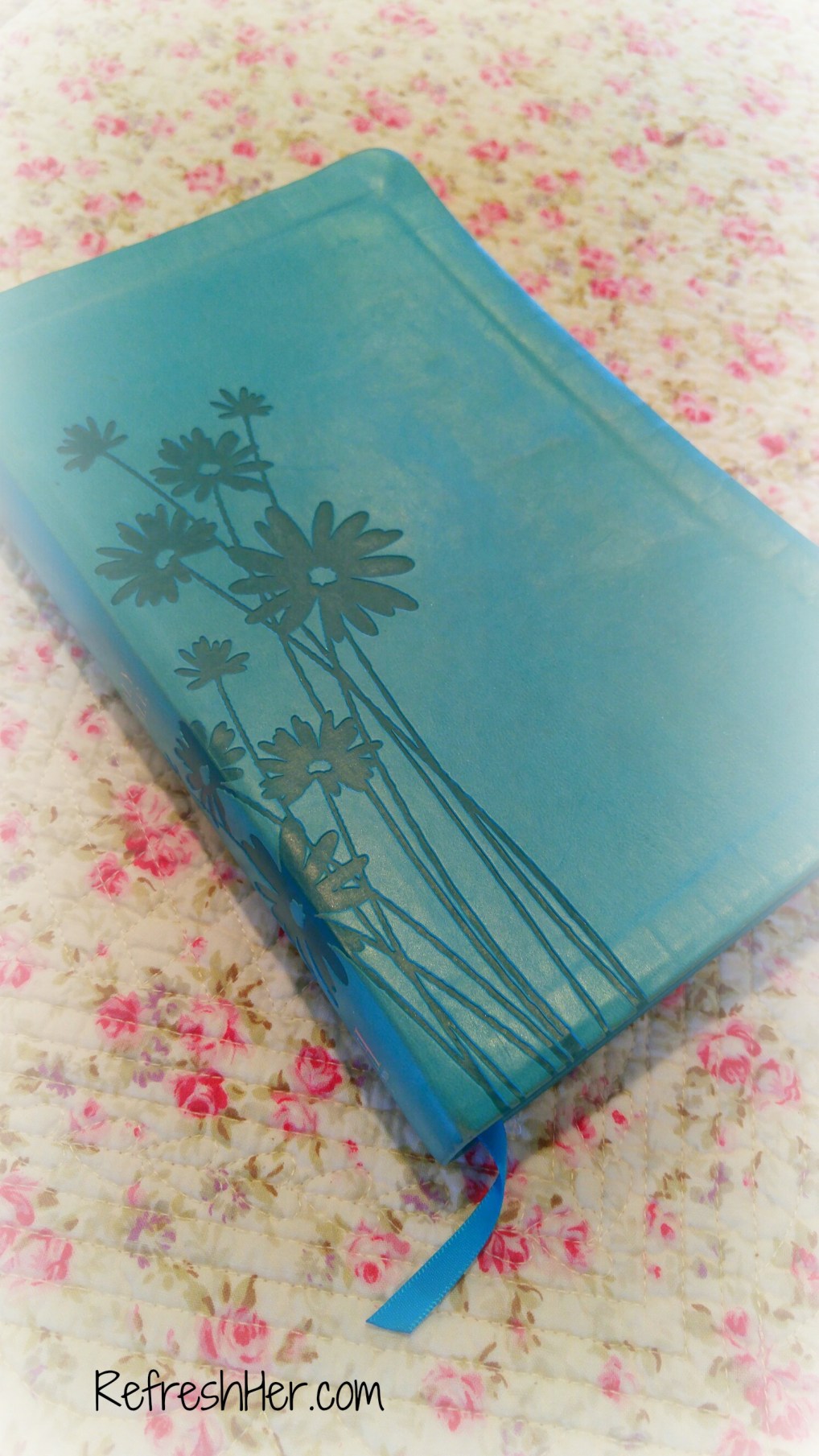 Give Away your Bible.jpg