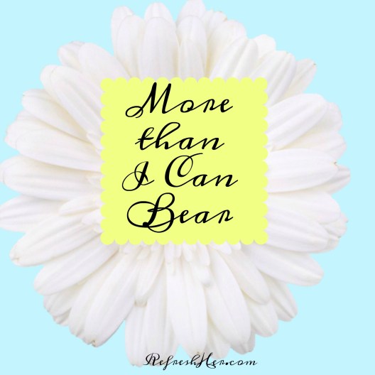 More than I can bear