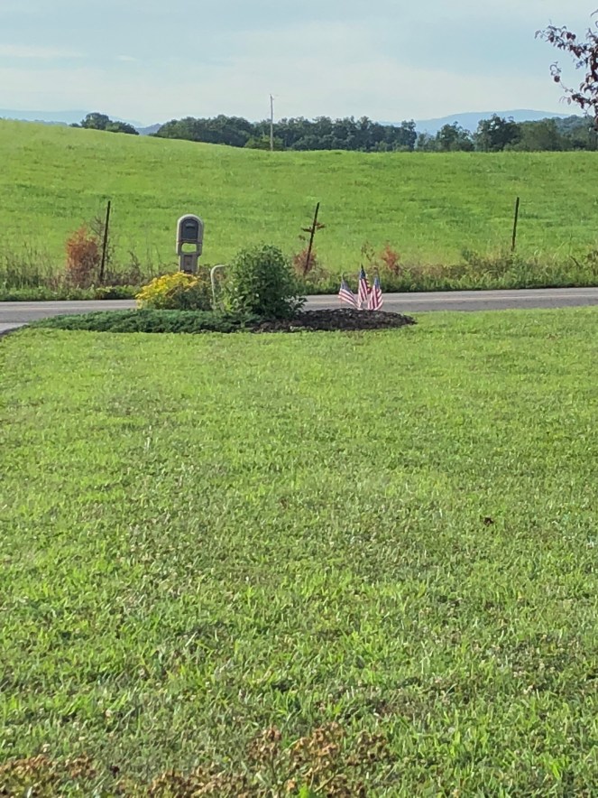 e8d90088-fd44-4d52-b148-db7252de4299-11983-0000052e967f2430_file