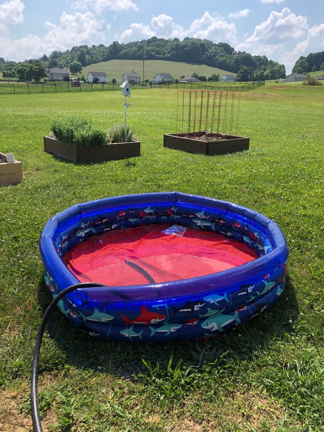 58024725560__cebd37f2-0c71-47c6-bf58-7f647b461afa