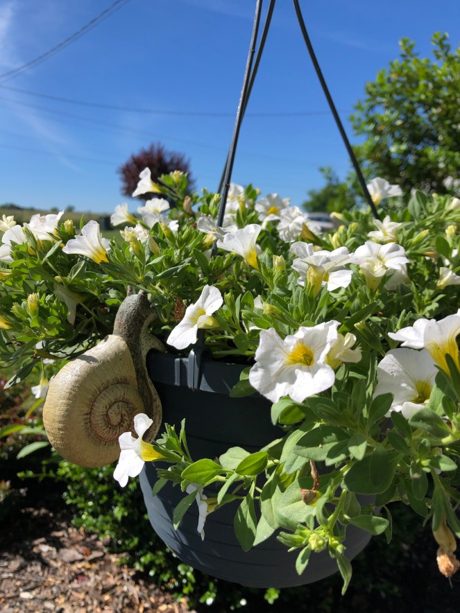 ae6c217d-b5fa-4ff8-ab4b-7fdd1f9e4ce4-70934-00001c23a463af77_file-1