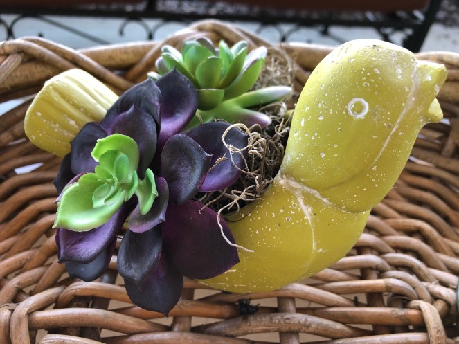 e35fe9b6-fe53-4702-96bf-b02060f9aa76-70934-00001c1eb62fe677_file-1