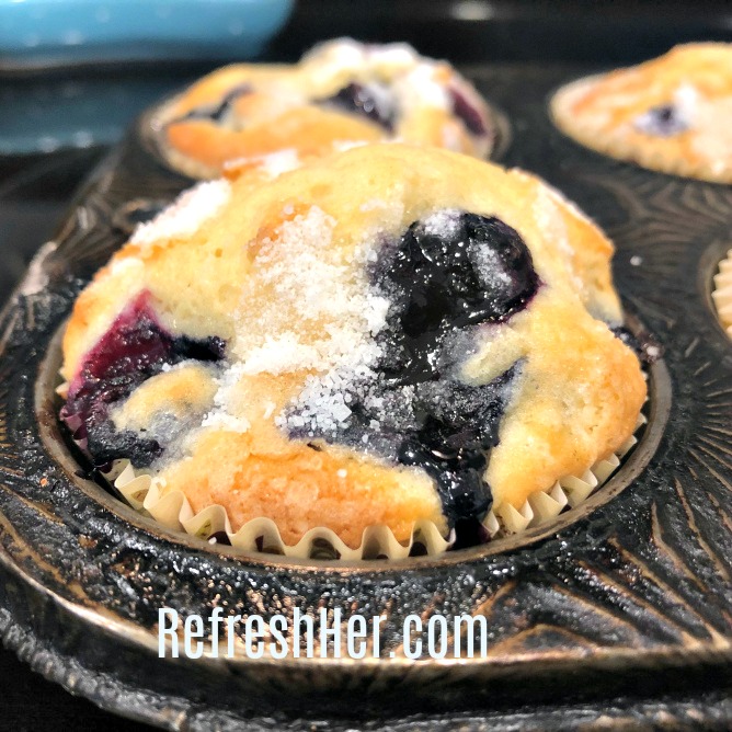 Blueberry Muffin 1.jpg