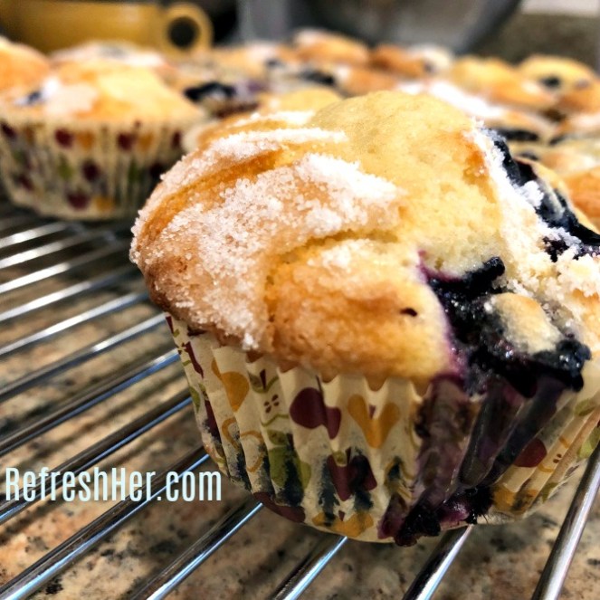 Blueberry Muffin 2