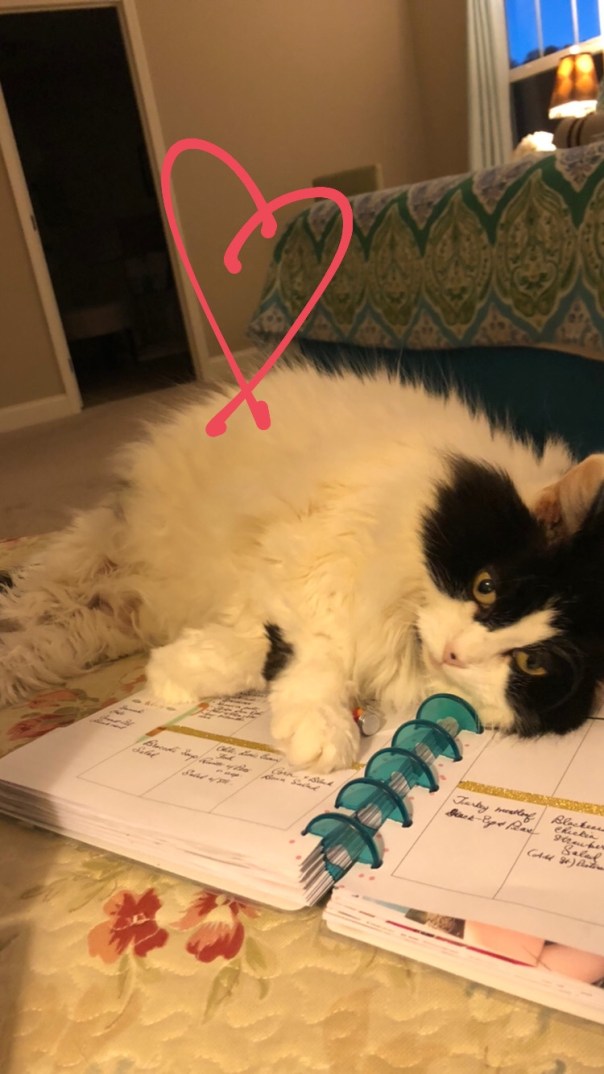 be684155-b7b3-4045-860e-a9663bf166a1